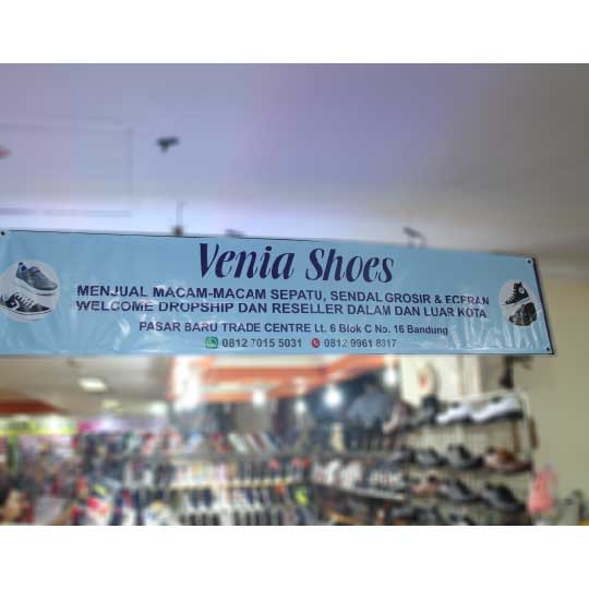 Venia Shoes